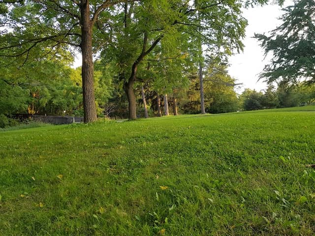 McFarland Park Picnic Pavilion - Image 1