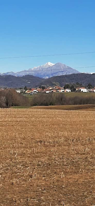 Belvedere - Image 1