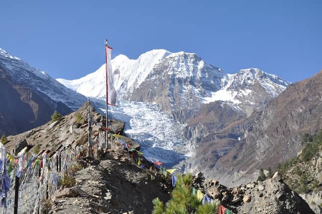 View Point - Image 1