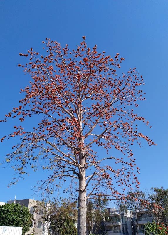 Wong Nai Tun Village Park - Image 2