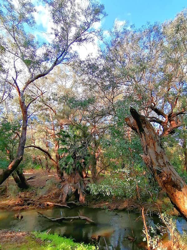 Centennial Pioneer Park - Image 2