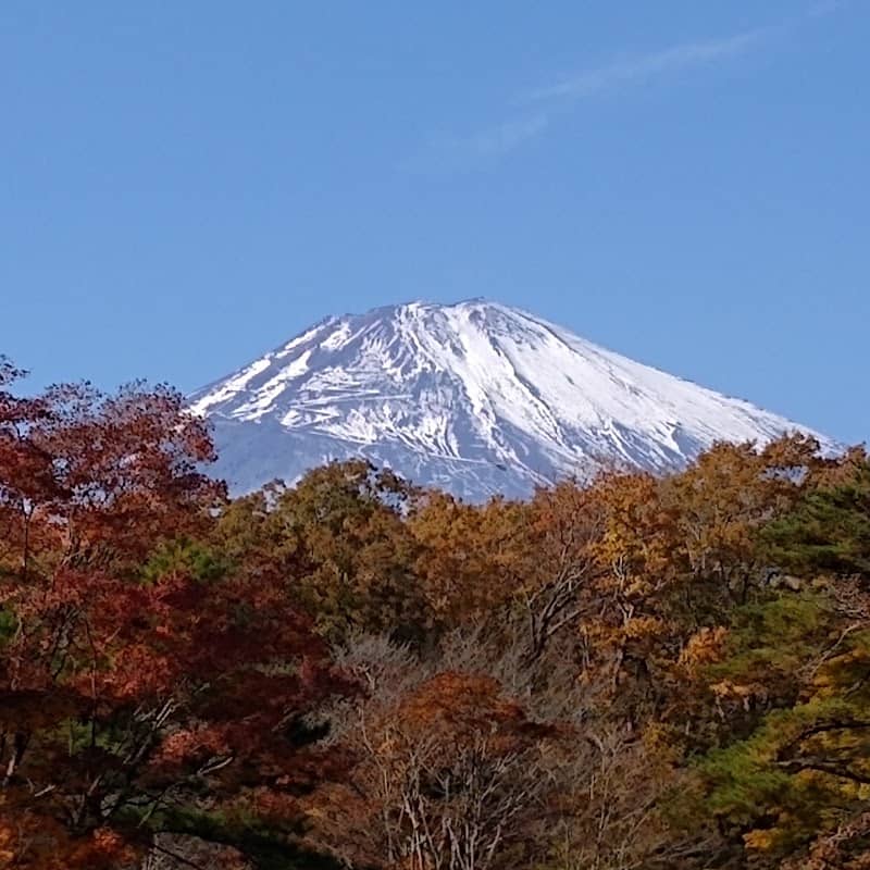 Otainai Seikoen lava garden - Image 2
