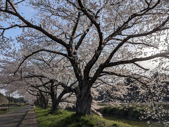 Mizube Park - Image 1