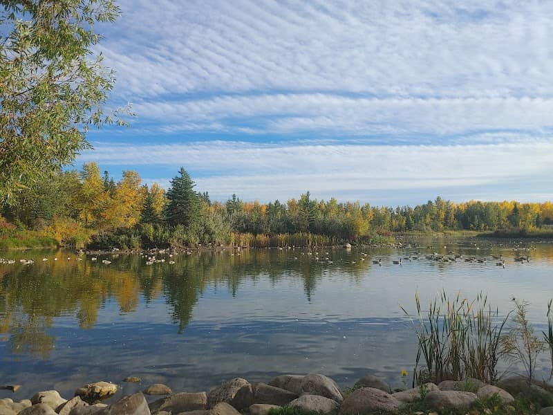 McKenzie Trails Park - Image 2