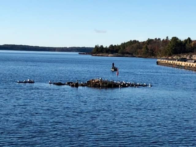 Seagull Rock - Image 1