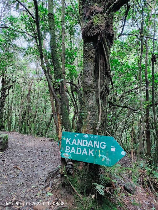 Kandang Batu - Image 2