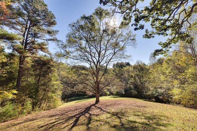 Alamance Parks - Image 1