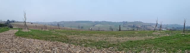 Bosco Turriglie - Image 2