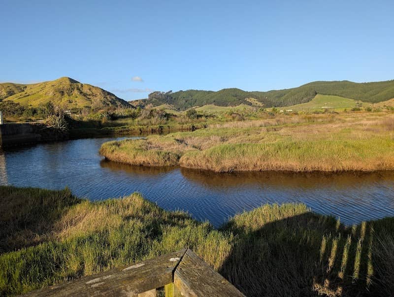 Otama Wetland Reserve Viewing Platform - Image 1