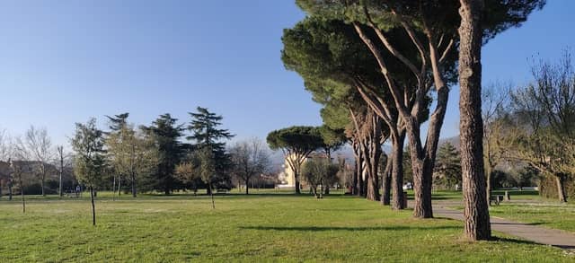 Parco pubblico Guado Nord - Image 2