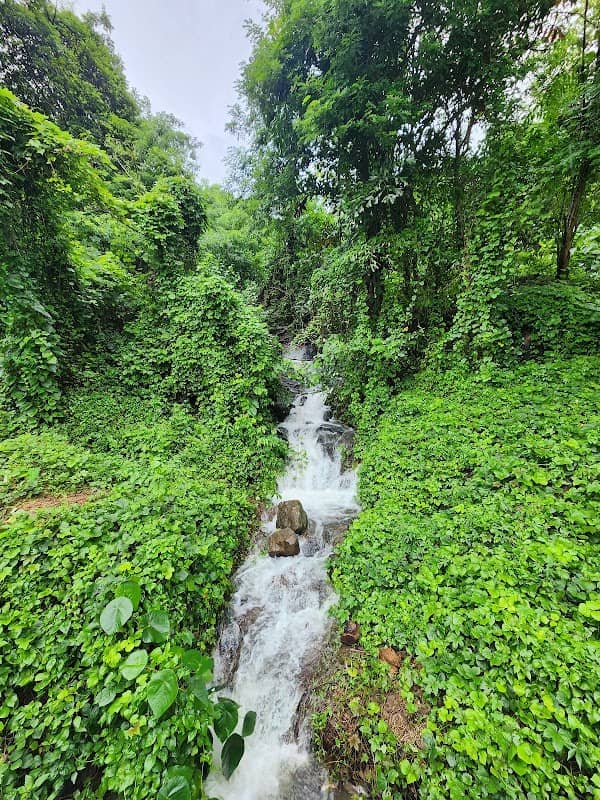 Kallampara chola Waterfall Wadakkanchery - Image 1