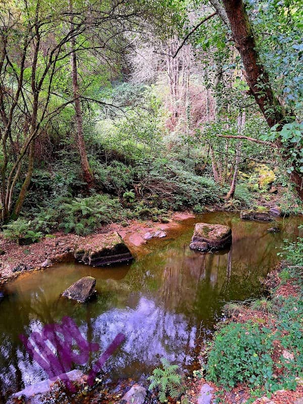 Río Loña - Image 1