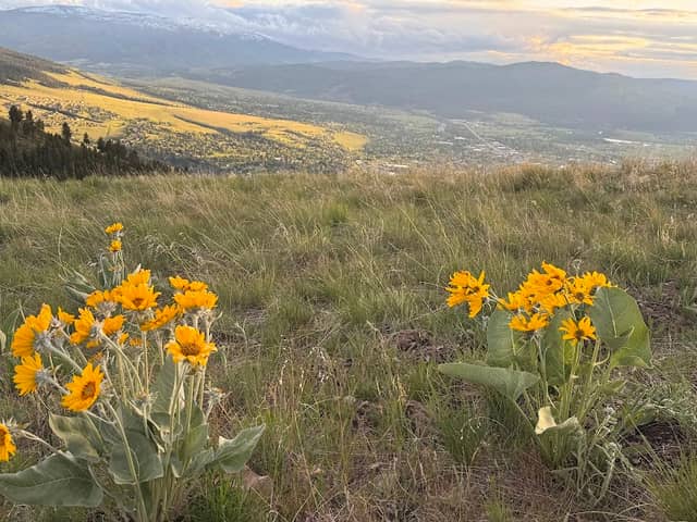 Mt Sentinel trail hike - Image 1