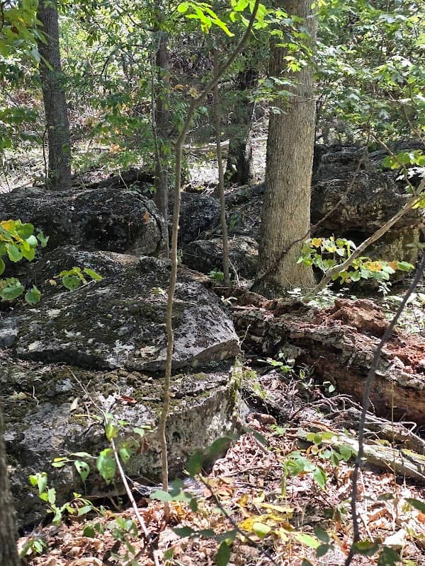 Pine Creek Falls - Image 1