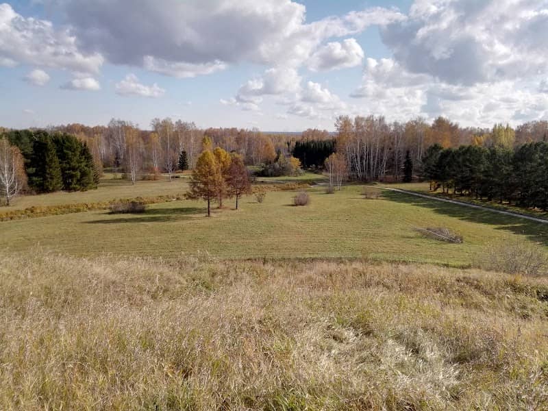 Dendropark - Image 1