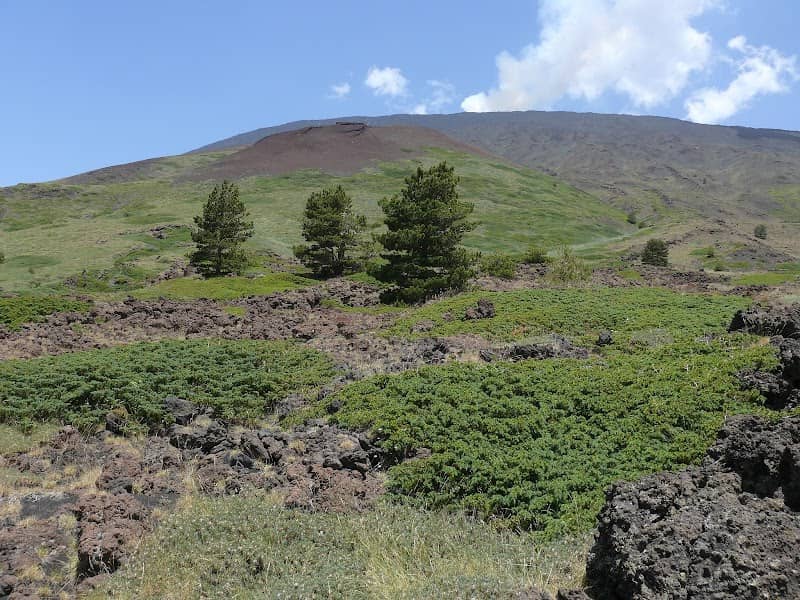 Tacca della Neve - Image 1