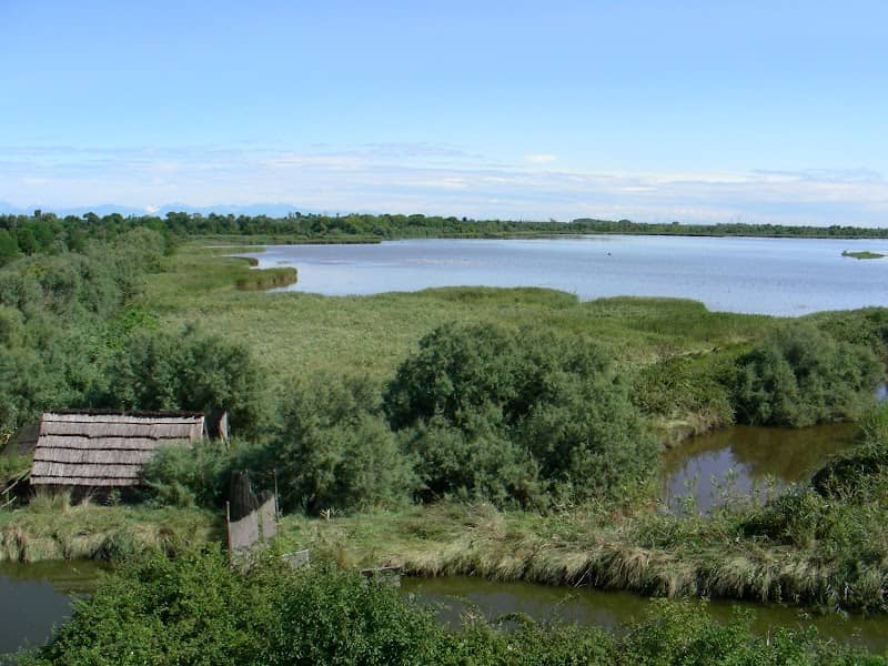 Valle Averto WWF - Image 1