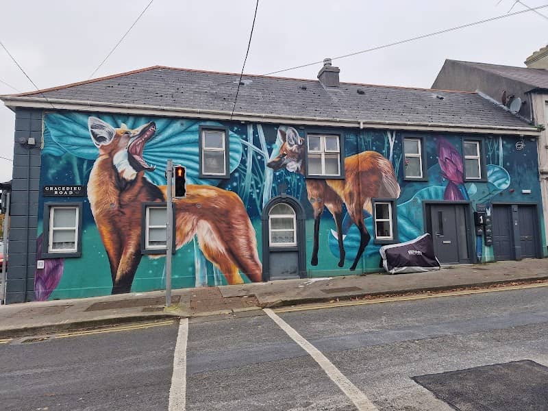Mural "Maned Wolves" by Nina Valkhoff for Waterford Walls - Image 1