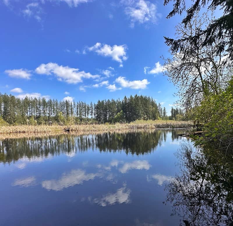 Lake Sawyer Regional Park - Image 2