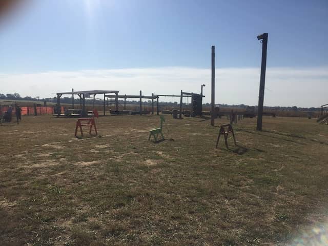 Todd Family Fun Farm & Corn Maze - Image 2