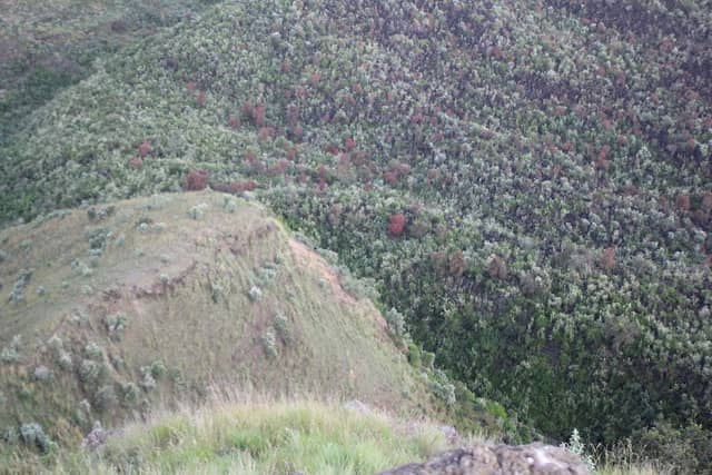 Kimal Rock - Image 1