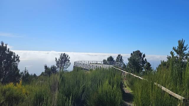Miraduro - Image 1