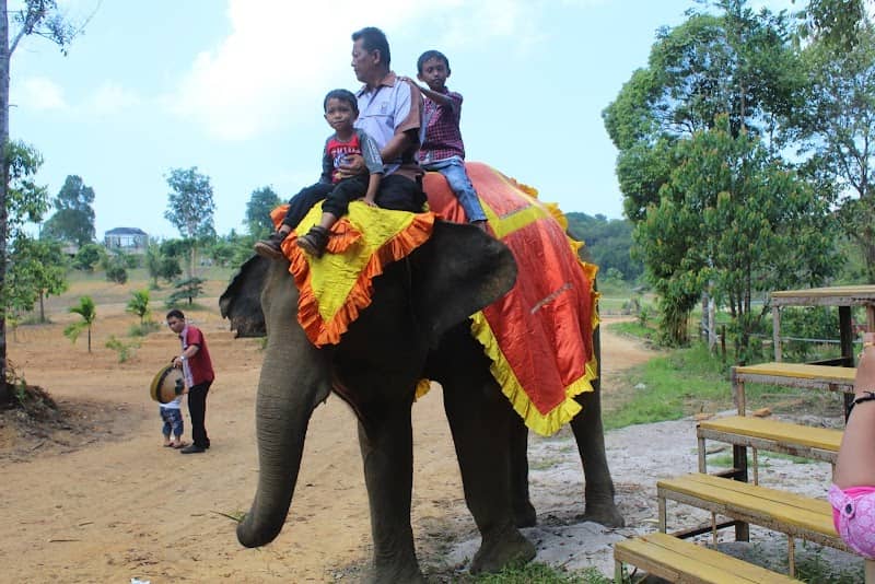 ECO Farm - Image 2