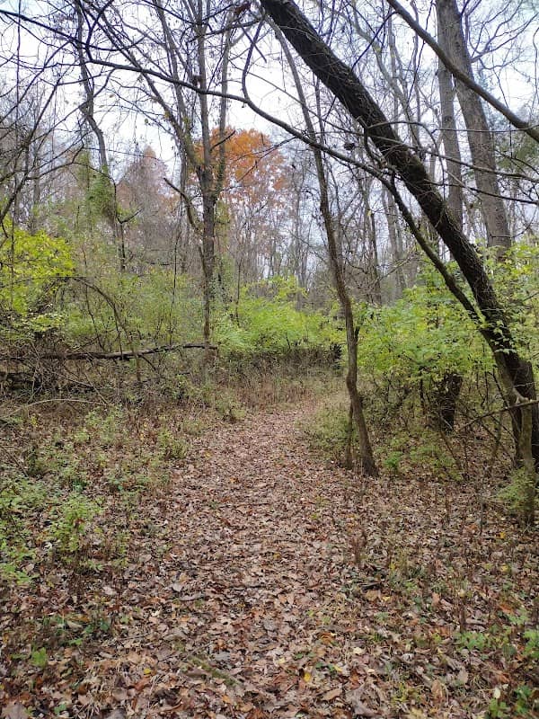 Strawberry Creek Nature Area Trailhead - Image 2
