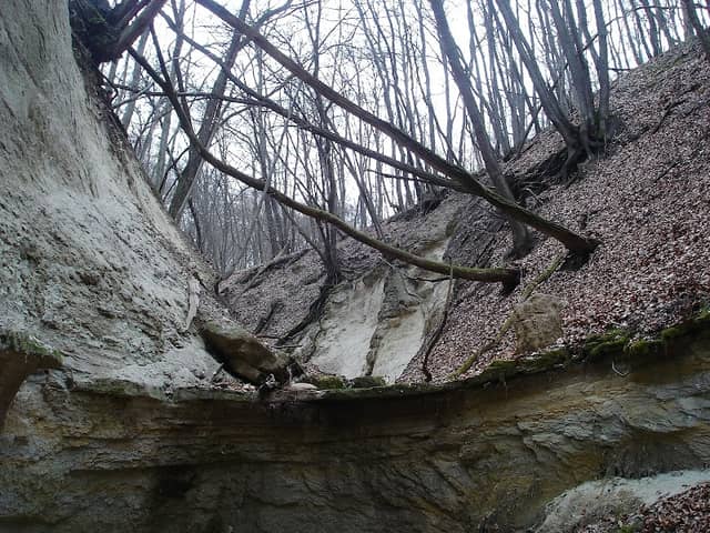 Palócföldi Grande canyon - Image 1