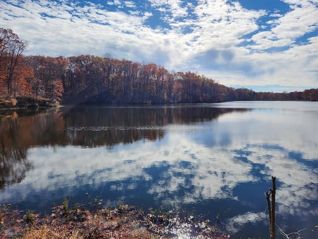 Tywappity Conservation Land - Image 2
