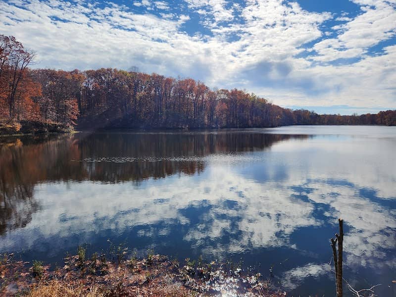 Tywappity Conservation Land - Image 2