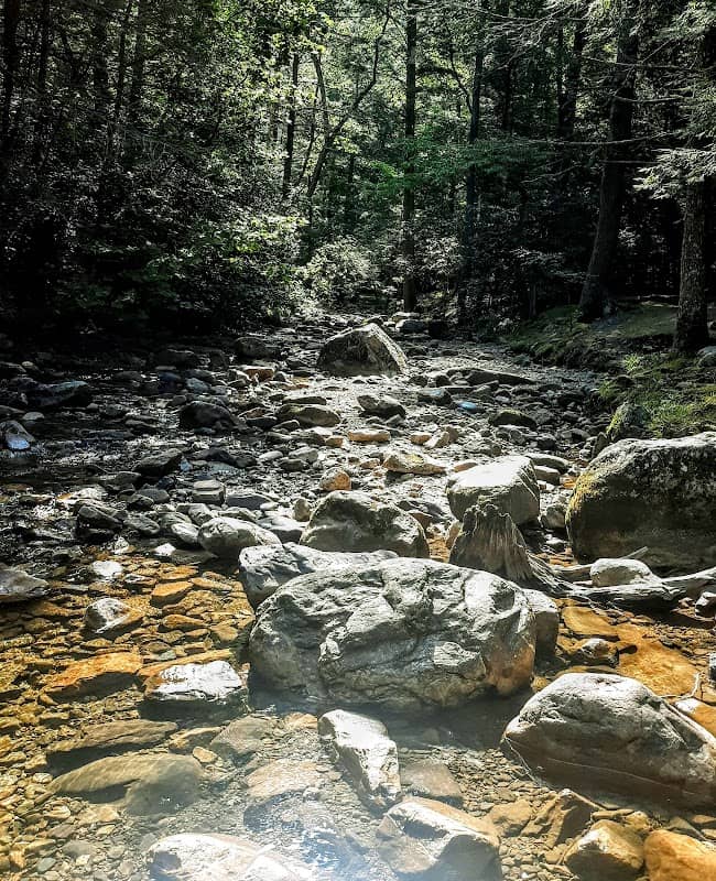 Horse Creek Recreation Area - Image 2