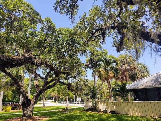 Snyder Park - Image 3