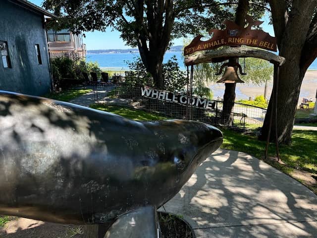 “Hope” the Wishing Whale - Image 1