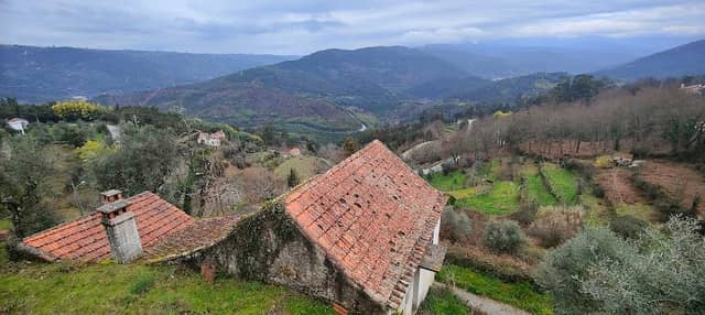 Miradouro da Curva da Mimosa - Image 1