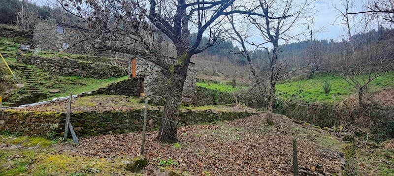 Miradouro da Curva da Mimosa - Image 3