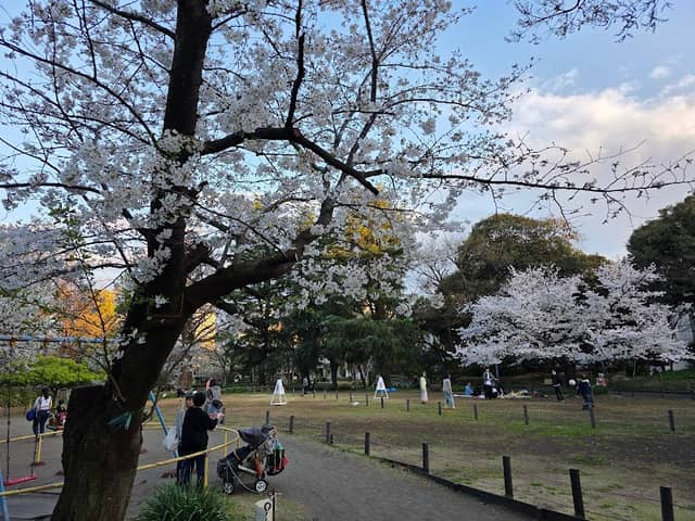 Sugekari Park - Image 1