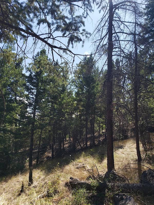 Mt. Sunrise Trailhead - Image 2