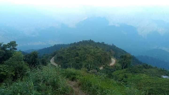 . - Image 1