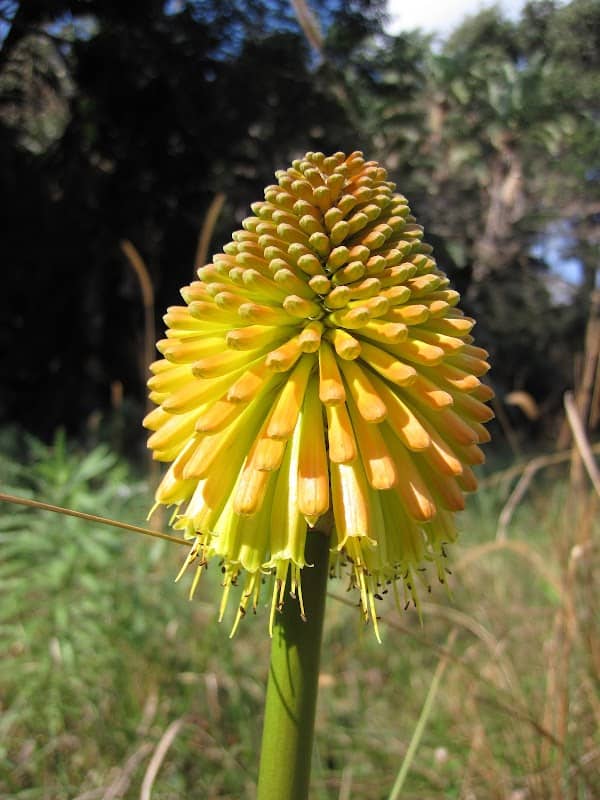 Skyline Nature Reserve - Image 1