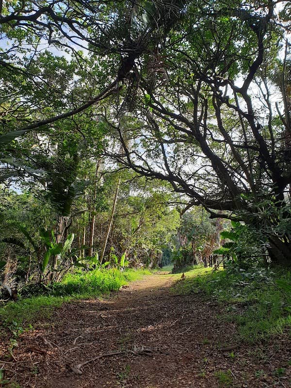 Skyline Nature Reserve - Image 2