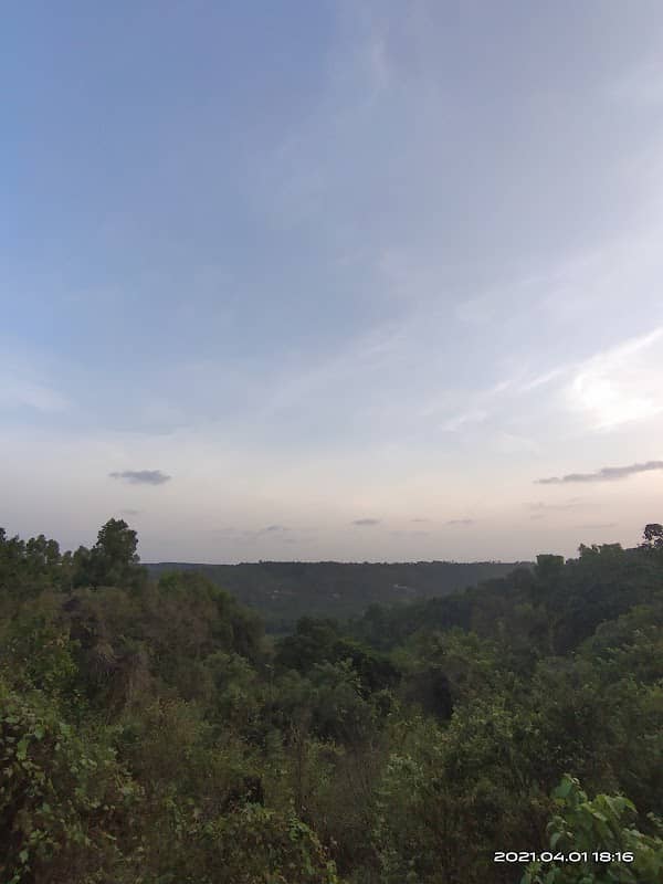 Thekkil river valley view point - Image 1