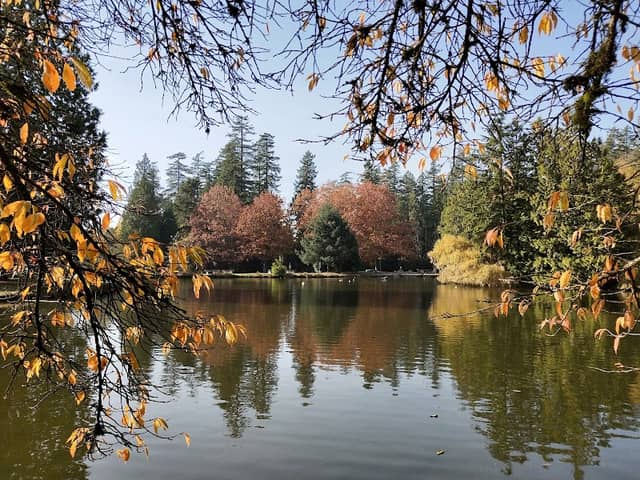 Central Park - Image 1