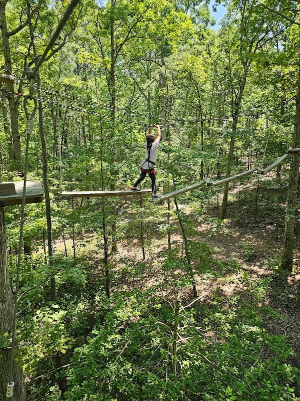 Tree Time Adventures - Image 2