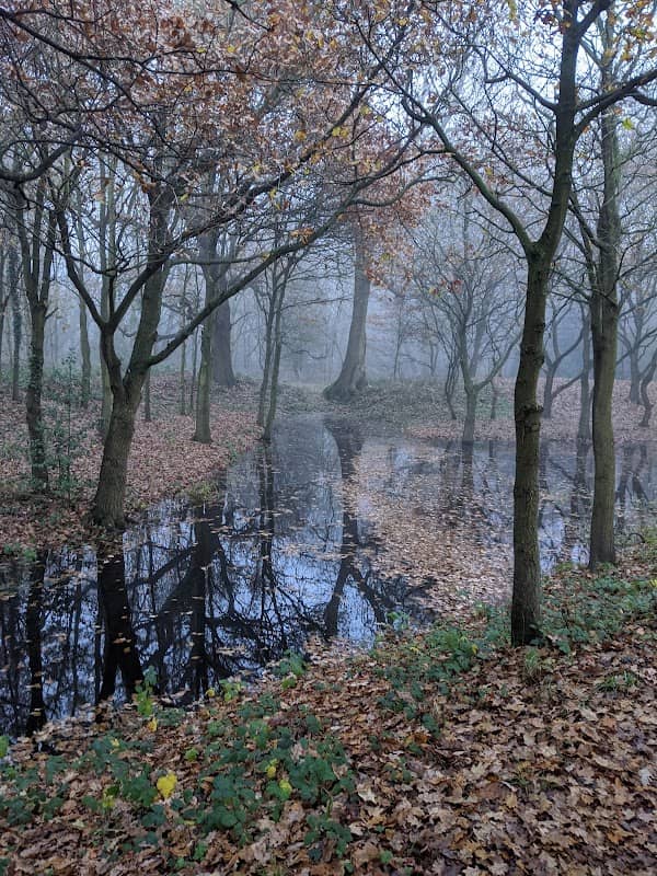 Papplewick Playing Field - Image 1