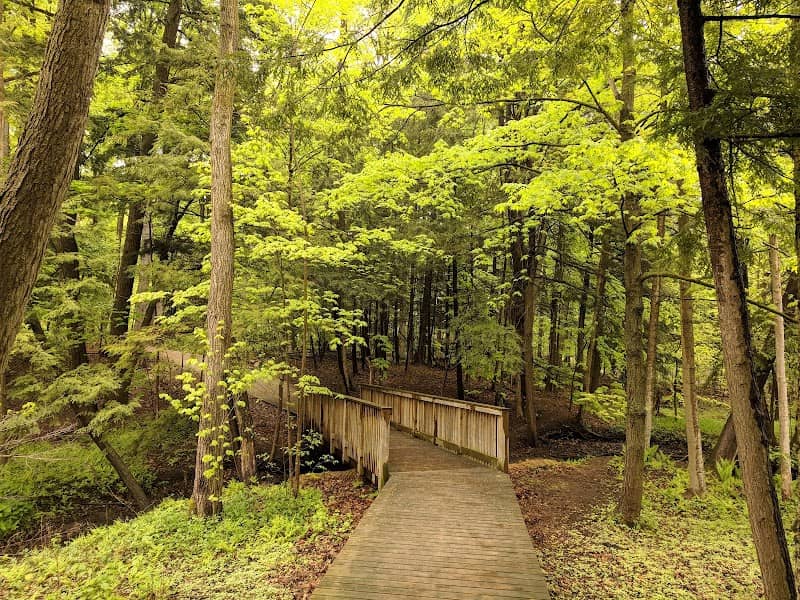 Maple Nature Reserve - Image 2