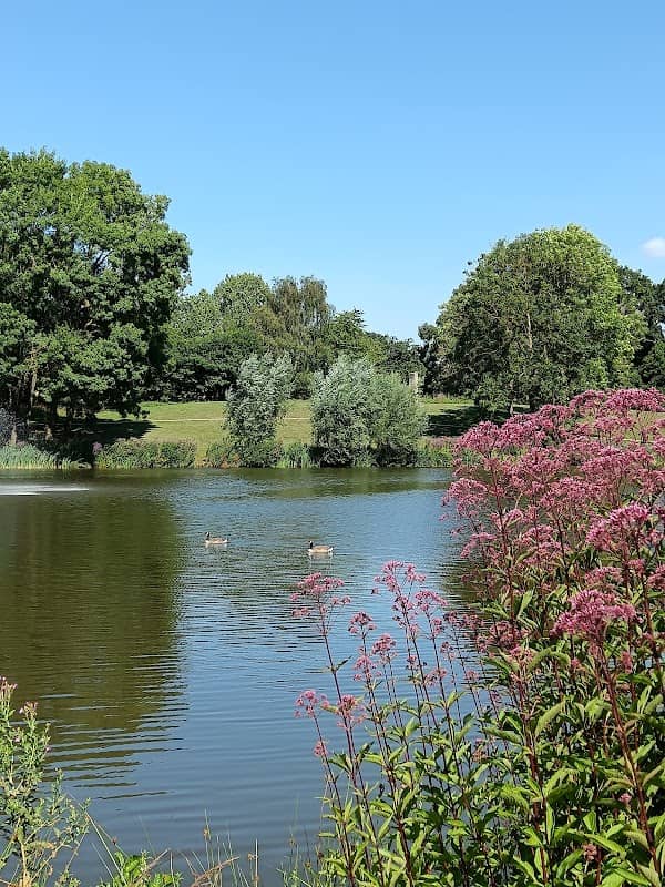 Wivenhoe Nature Park - Image 3