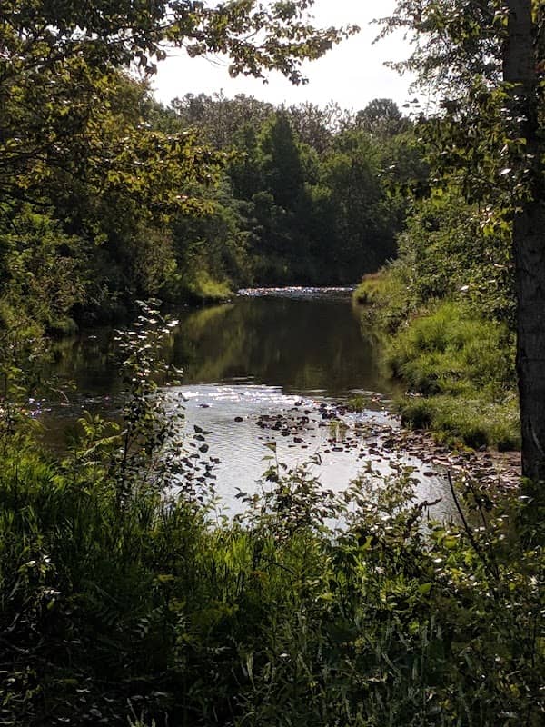 Sussex Nature Walkway - Image 2