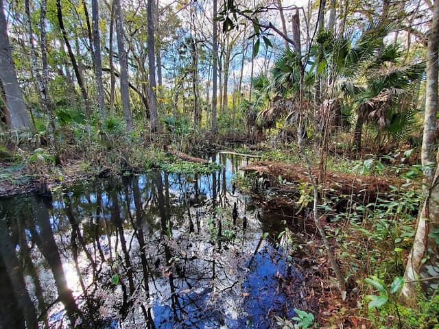 Shady Brook Park - Image 3