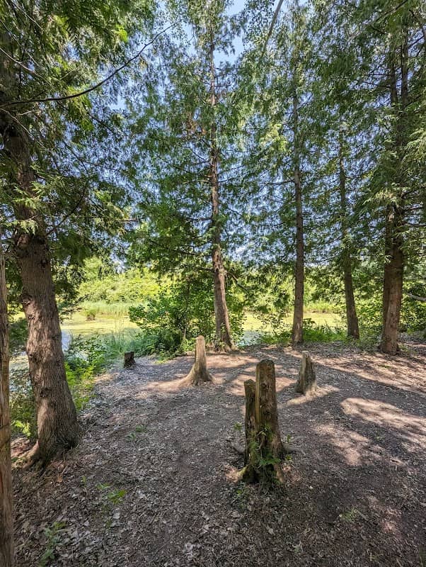 Waseca Nature Park - Image 2